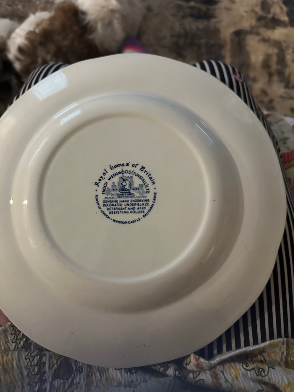 Cream Ceramic Plate - Classic Cream Dinner Plate